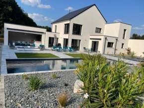 Villa avec piscine et spa proche circuit 24H Le Mans